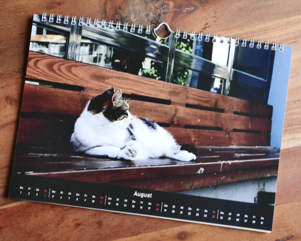 Beispielbild Kalender 3