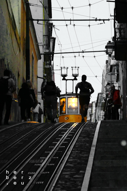 44/2023 – Run for tram