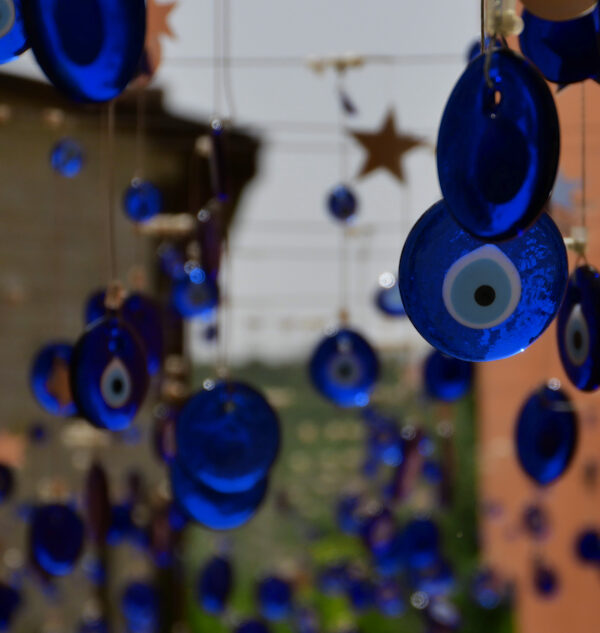 21/2023 – Blaues Schutzschild