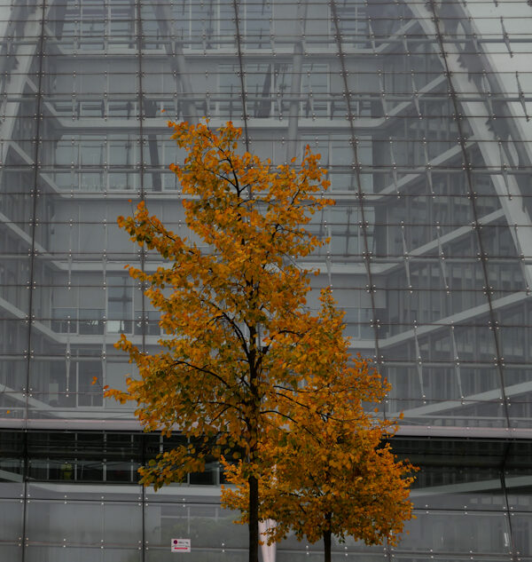 42/2024 – Herbst am Bogen