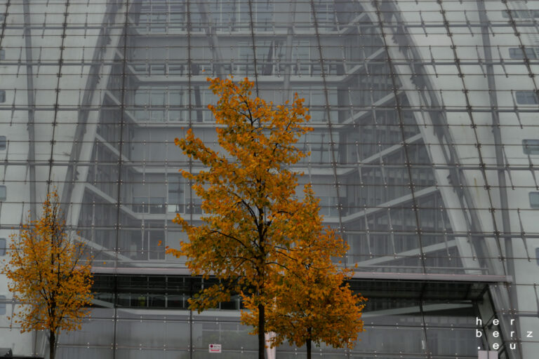 42/2024 – Herbst am Bogen