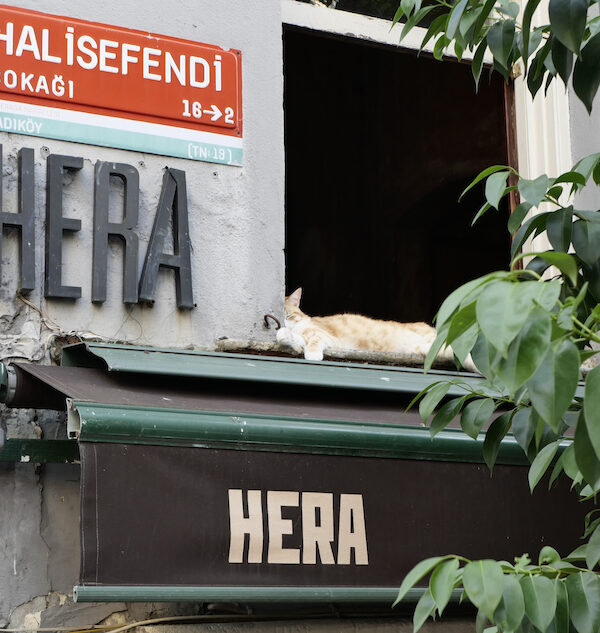 01/2025 – Hera