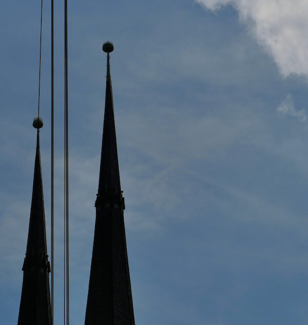24/2025 – In Line