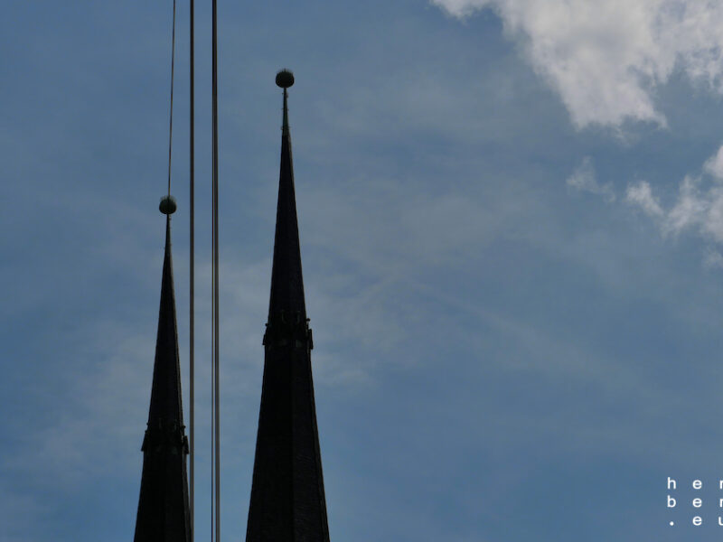 24/2025 – In Line