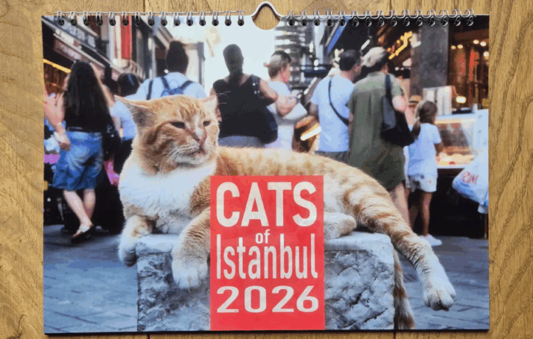 Cats of Istanbul 2026 jetzt bestellen