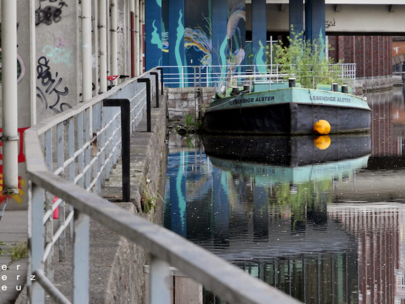 31/2025 – Versteckter Liegeplatz