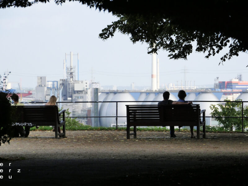 40/2025 – Bank mit Aussicht