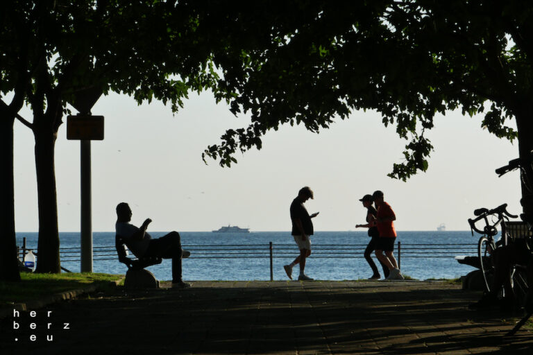 42/2025 – Connected II