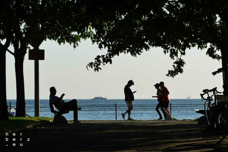 42/2025 – Connected II