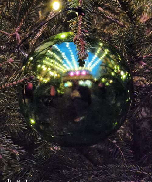 49/2025 – Advent Advent