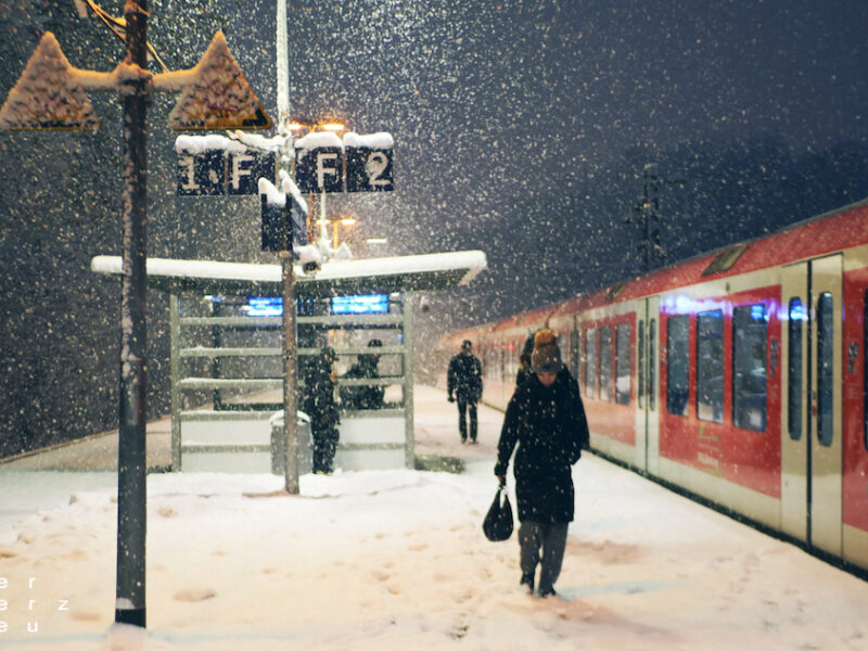 2026/01 – Winter is back in Town