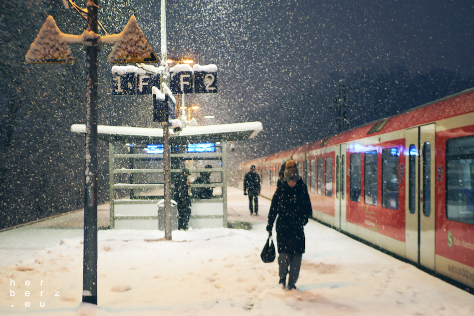 2026/01 – Winter is back in Town