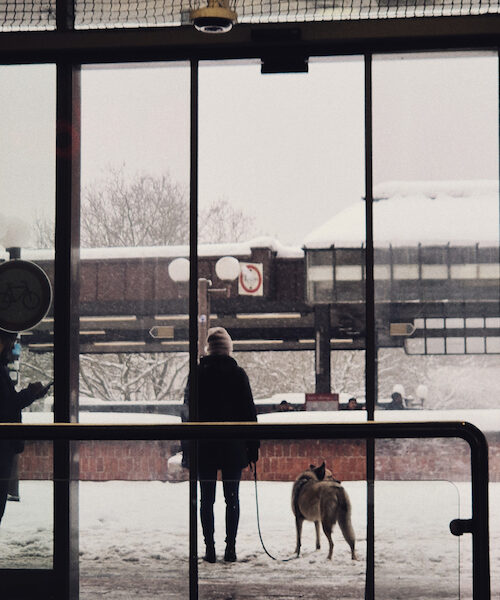 02/2026 – Erstaunte Freunde