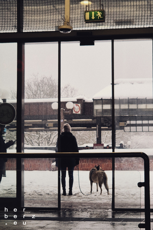 02/2026 – Erstaunte Freunde