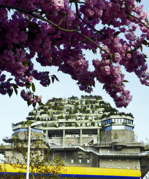 17/2026 – In Bloom