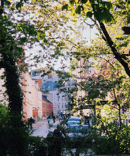 18/2026 – Endlich Sonne