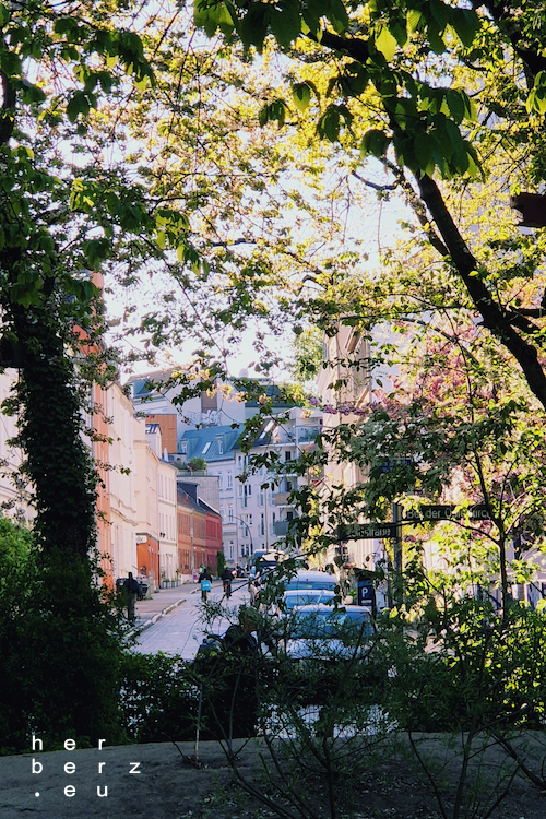 18/2026 – Endlich Sonne