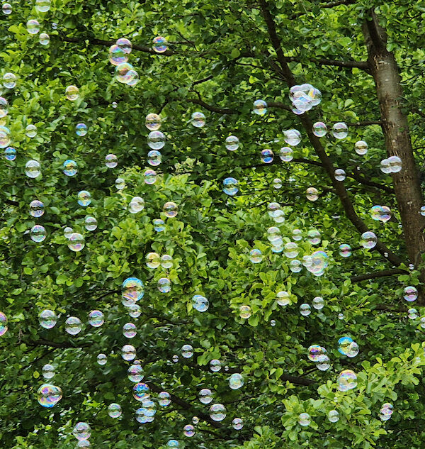 23/2026 – Blubbs for the Bubb