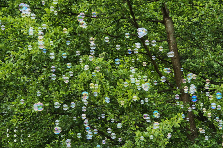 23/2026 – Blubbs for the Bubb