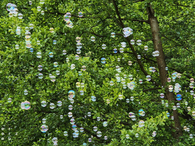 23/2026 – Blubbs for the Bubb
