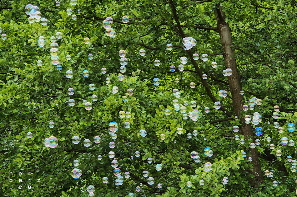 23/2026 – Blubbs for the Bubb