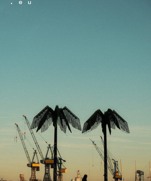 36/2026 – Two Palm Trees