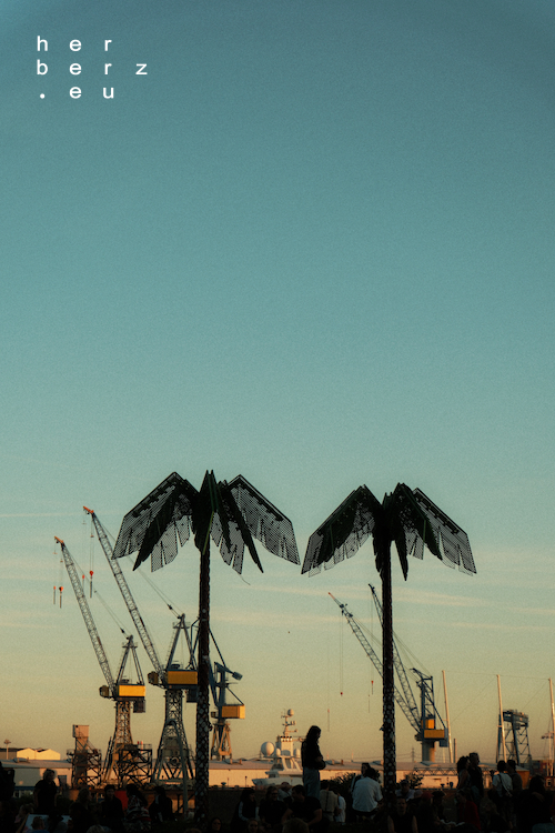 36/2026 – Two Palm Trees