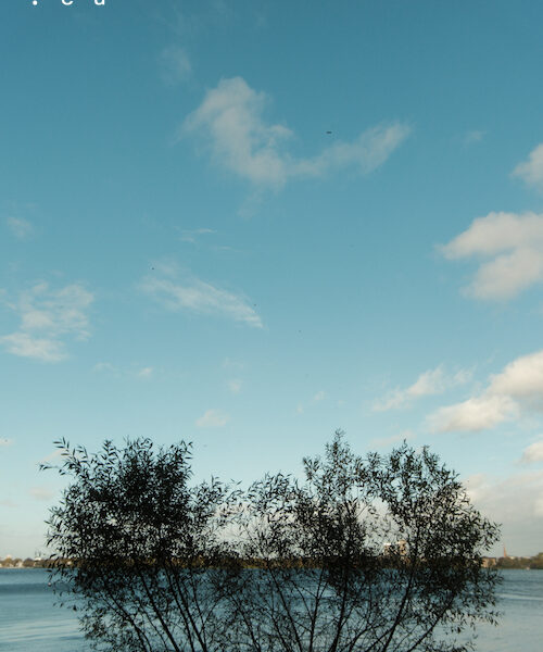 43/2026 – Herz vor Blau