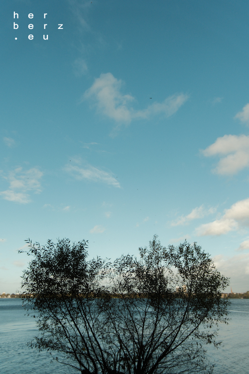 43/2026 – Herz vor Blau
