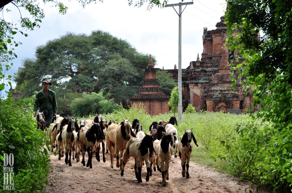 Myanmar II – Bagan
